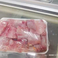 ماهی تازه. سفارشی صید روز.