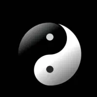 آموزش کونگ فوی چینی|خدمات آموزشی|اراک, |دیوار