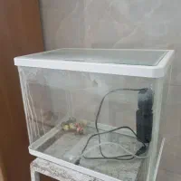 آکواریوم مینیمال به همراه وسایل