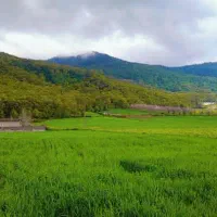 زمین