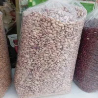 حبوبات لوبیاچیتی، عدس|خوردنی و آشامیدنی|نسیم‌شهر, |دیوار