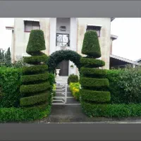 کلیه امور محوطه سازی و باغبانی|خدمات پیشه و مهارت|بندر انزلی, گیلار|دیوار