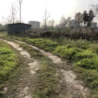 فروش زمین مسکونی معتبر(جنب هتل دارایی)متراژ دلخواه|فروش زمین و ملک کلنگی|رشت, شکار اسطلخ|دیوار