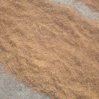 شالی ندا|خوردنی و آشامیدنی|سرخنکلاته, |دیوار