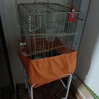 قفس و پایه پرنده به همراه وسایل کامل