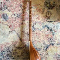 سه‌ تار|سازهای سنتی|اصفهان, ناژوان|دیوار