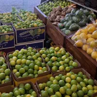 فروشنده
