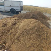 فروش نیسان جکی سالم۸۹ دیزل|خودرو سواری و وانت|باغ ملک, |دیوار