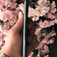 ایفن ۱۱ پرو 256|موبایل|تنکابن, |دیوار