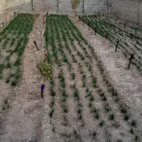 زمین ۳۵۰ متر|فروش زمین و ملک کلنگی|تربت‌حیدریه, بالا ولایت|دیوار