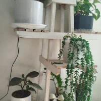 استند و پایه گل|گل و گیاه طبیعی|بجنورد, |دیوار