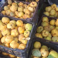 فروش به باکیفیت وارگانیک|خوردنی و آشامیدنی|یاسوج, |دیوار