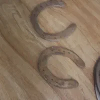 نعل اسب|اسب و تجهیزات اسب‌سواری|فردیس, سرحد آباد|دیوار