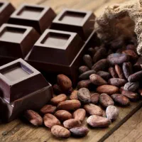 کارگر ساده کارخانه شکلات سازی جای خواب،غذا،بیمه|استخدام صنعتی، فنی، مهندسی|تهران, تهرانسر غربی|دیوار