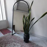 آینه قدی