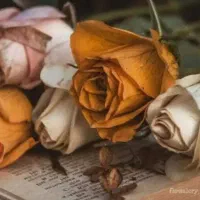 پک چاقی و پک لاغری