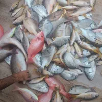 کارت سوخت برای دریا