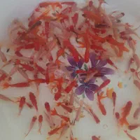 ماهی کاشی|ماهی|شاهرود, |دیوار