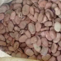 بذر باقالا|گل و گیاه طبیعی|نکا, |دیوار