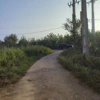 زمین گلزاران رشت  124متری|فروش زمین و ملک کلنگی|رشت, گلزاران|دیوار