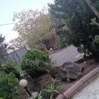 اجاره ویلایی ۵۰۰متر. واحد نود متردوخواب(تربگوده)|اجارهٔ خانه و ویلا|بندر انزلی, تربه گوده|دیوار