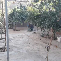 اجاره|اجارهٔ خانه و ویلا|تاکستان, |دیوار