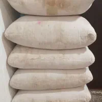 پشتی