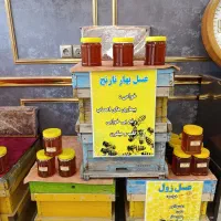 عسل گیاهی و طبیعی  حقیقی|خوردنی و آشامیدنی|اصفهان, شاهزید|دیوار