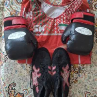 کفش و دو بنده کشتی و دستکش بوکس
