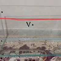 آکواریوم|ماهی|زاهدان, |دیوار