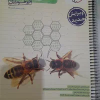 کتابکارهای نهم|کتاب و مجله آموزشی|تهران, عبدل‌آباد|دیوار