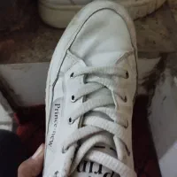 کفش مفت|کیف، کفش، کمربند|یونسی, |دیوار