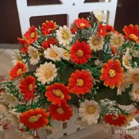 استند گل و گیاه|گل مصنوعی|رشت, بوسار|دیوار