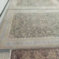 فرش 1200شانه|فرش|گنبد کاووس, |دیوار