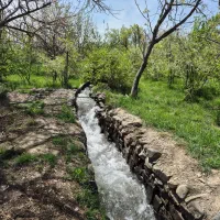 1400 متر باغ گلمکان+ سند شش دانگ+ آب+برق و گاز|فروش خانه و ویلا|گلمکان, |دیوار