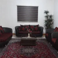 دو عدد فرش دستبافت ۱۲ متری زیبا و سالم