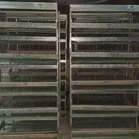 قفس ۵ طبقه بلدرچین  پراور