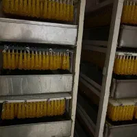 کارگاه تولید نبات|ماشین‌آلات صنعتی|مرودشت, شهرک مهدیه|دیوار