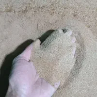 کود پروتئین میلورم