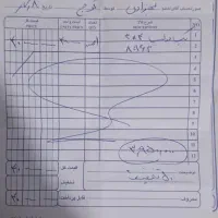 بک دراپ عکاسی|دوربین عکاسی و فیلمبرداری|کرج, حصارک بالا|دیوار