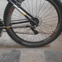 دوچرخه ویوا|دوچرخه، اسکیت، اسکوتر|سبزوار, عظیمیان|دیوار