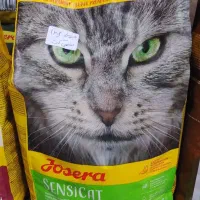 غذا جوسرا رویال کیتن