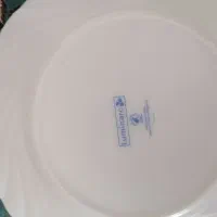 دیس و بشقاب گل ویکتوریا فرانسوی اصل|ظروف سرو و پذیرایی|کرمان, |دیوار