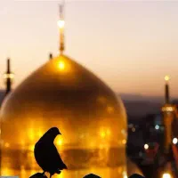 سفر به بارگاه امام رضا