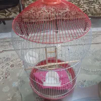 قفس پرنده