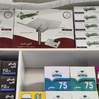 آنتن کله گاوی