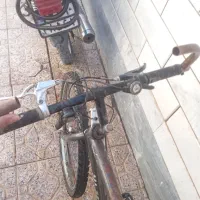 دوچرخه|دوچرخه، اسکیت، اسکوتر|شاهین‌شهر, گزبرخوار|دیوار