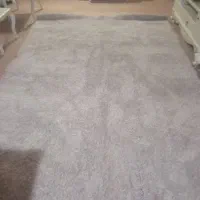 پالاز