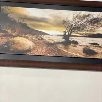 تابلوی زیبا و نو