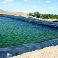 ورق استخر کشاورزی